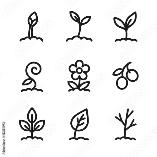 Seasonal Growth Icons. Outline icon set of seasonal growth stages: bud swelling, shoot emergence, leaf unfurling, tendril grasping