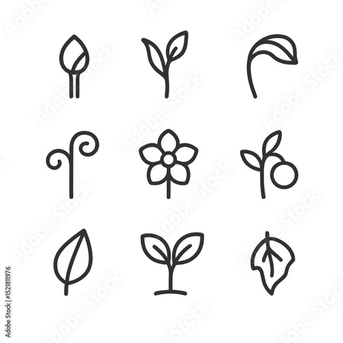 Seasonal Growth Icons. Outline icon set of seasonal growth stages: bud swelling, shoot emergence, leaf unfurling, tendril grasping
