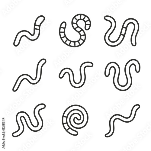 Soil Worms Icons Set. Outline icon set of beneficial soil worms: earthworm, red wigglers, tiger worms, nightcrawlers, pot worms,
