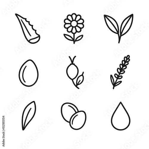Organic Skincare Ingredients Icons. Outline icon set of organic skincare ingredients: aloe vera leaf, chamomile flower, green tea