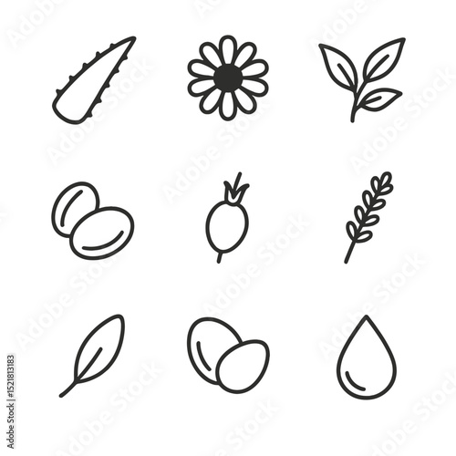 Organic Skincare Ingredients Icons. Outline icon set of organic skincare ingredients: aloe vera leaf, chamomile flower, green tea