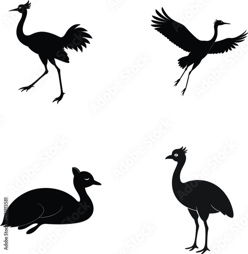 Bustard bird silhouette set for large terrestrial bird illustration themes vector illustration.