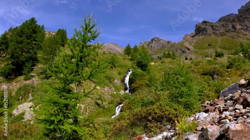 Pure mountain stream waterfall in lush alpine forest in Italy
