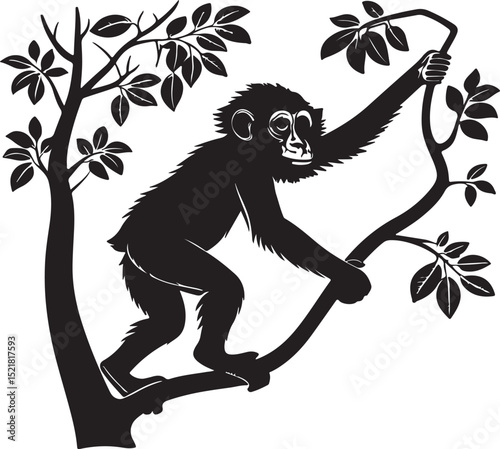 Monkey On the Tree