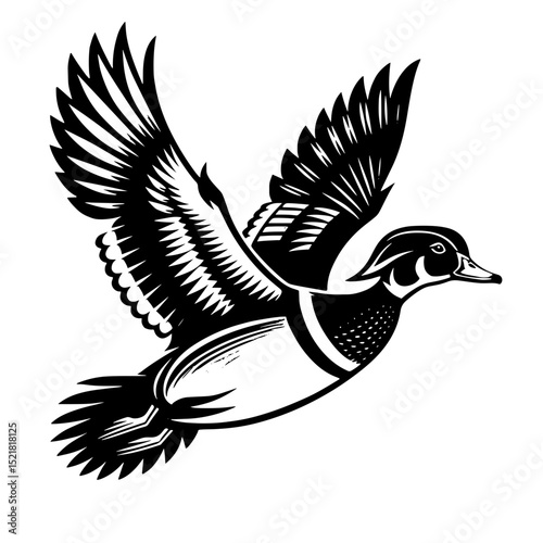 bird, eagle, vector, illustration, animal, cartoon, wing, flying, hawk, wings, tattoo, wildlife, feather, nature, beak, black, silhouette, fly, predator, wild, mascot, design, animals, crow, falcon
