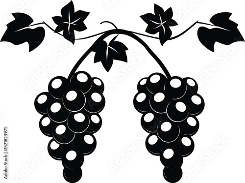 Grapevine Silhouette Icon – Black and White Vector of Grape Bunches with Leaves