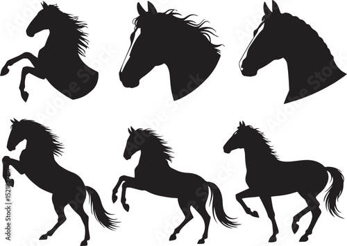 A collection of black horse silhouettes in various positions set