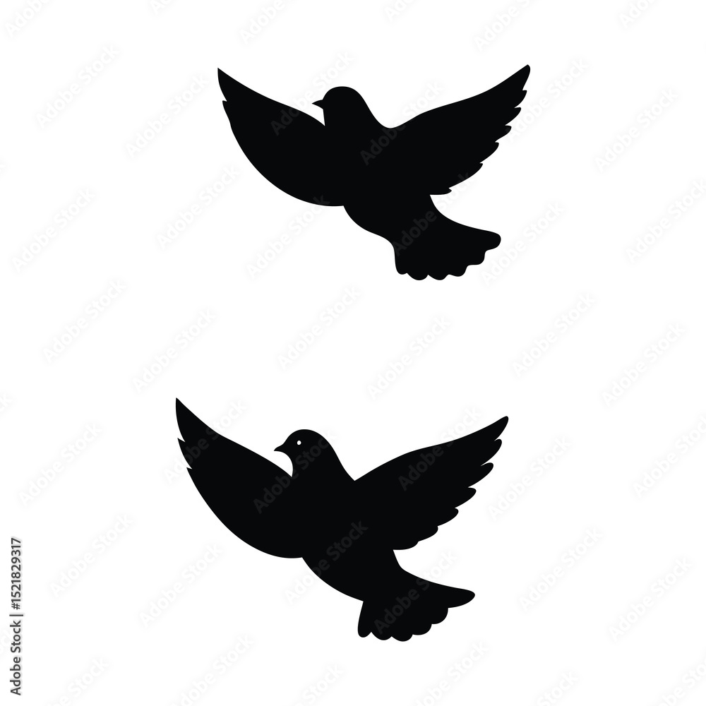 Obraz premium dove with wings