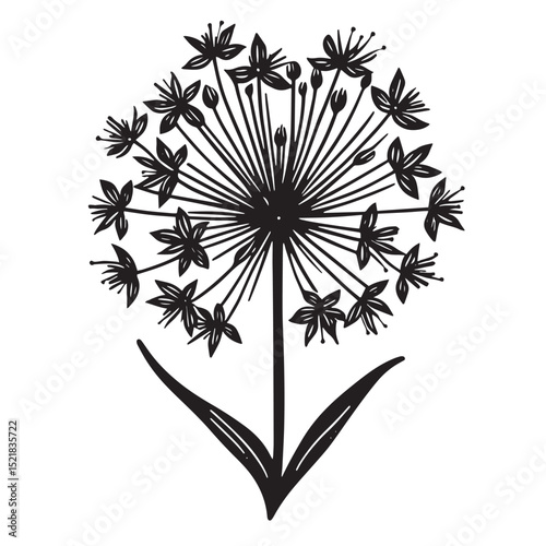 Allium Flower SVG
