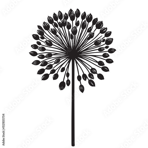Allium Flower SVG