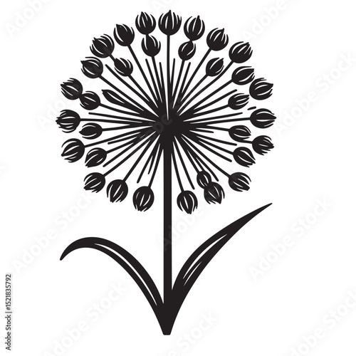 Allium Flower SVG