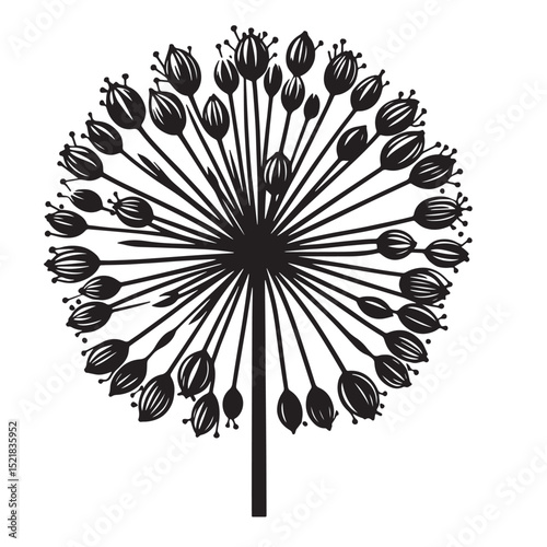 Allium Flower SVG