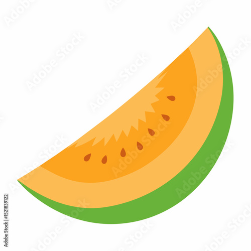 vector illustration of a melon