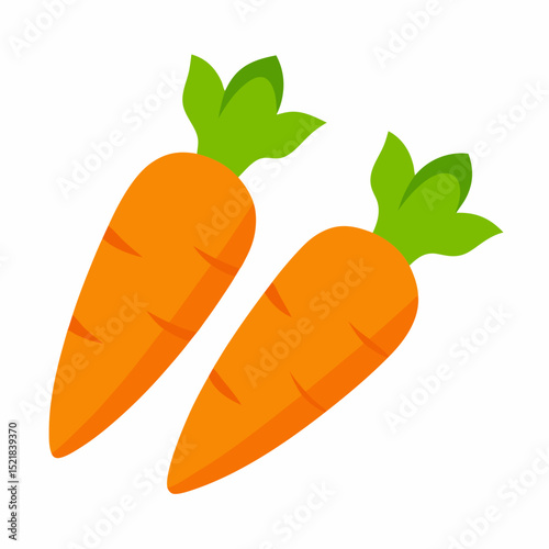vector illustration of carrots