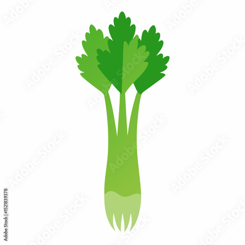 celery isolated on white background