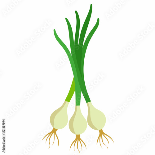 onion isolated on white background