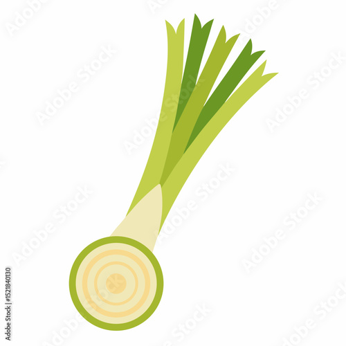onion isolated on white background