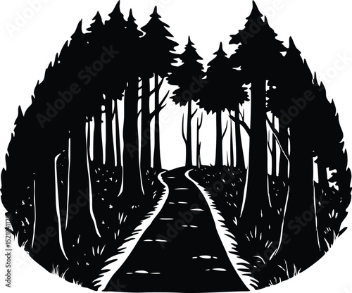Silhouette of Path Through Ancient Forest, Nature Trail Through Old Trees Silhouette