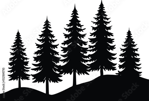 Silhouette of Tall Pine Trees on Hilltop, Hilltop Pine Forest Silhouette