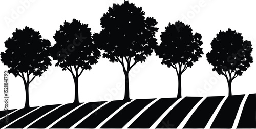 Silhouette of Tree Row in Rural Field, Farmland Tree Line Silhouette