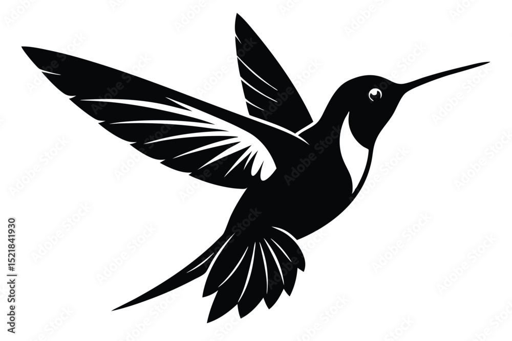 Obraz premium Elegant Black and White Silhouette of a Hummingbird in Flight with Wings Extended