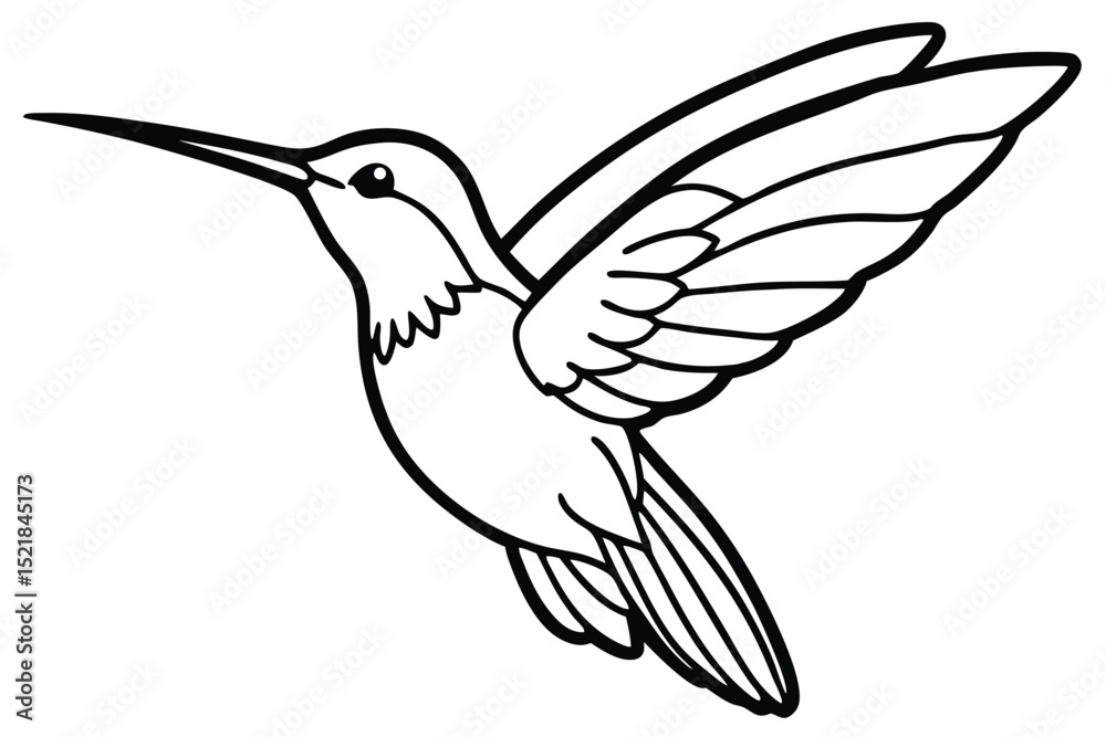Fototapeta premium Artistic Line Drawing Depicting a Hummingbird in Flight with Wings Extended, Beautiful Design