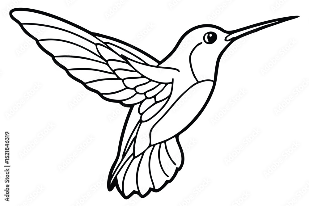 Fototapeta premium Black and White Line Drawing of a Flying Hummingbird with Detailed Wings