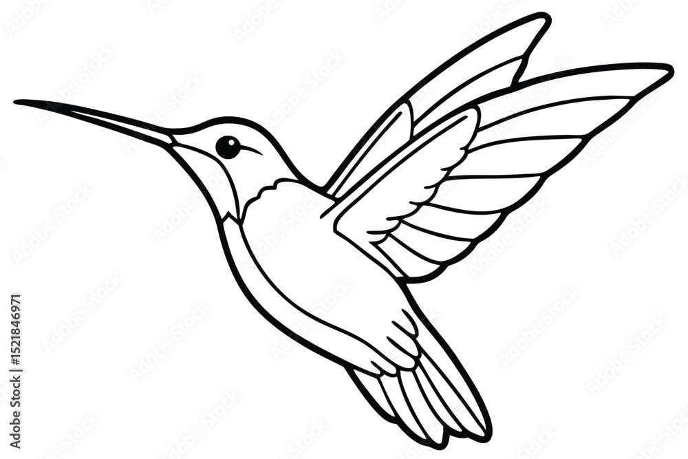 Fototapeta premium Artistic Line Drawing of a Hummingbird in Flight with Detailed Wing Structure