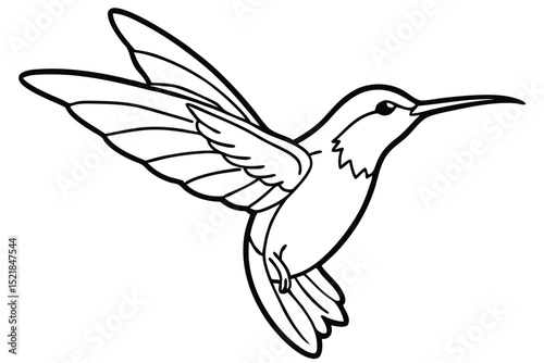 Hummingbird Illustration Line Art Image of Bird with Wings Spread and Long Beak