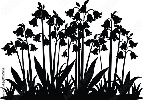 Silhouette of Bluebells in Forest, Forest Floor Covered in Bluebells