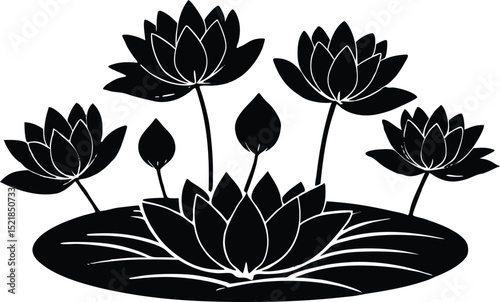 Silhouette of Lotus Flowers on Water, Lotus Blossoms Floating Peacefully