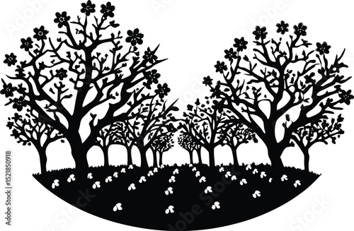 Silhouette of Old Orchard in Bloom, Blossoming Orchard Trees in Spring