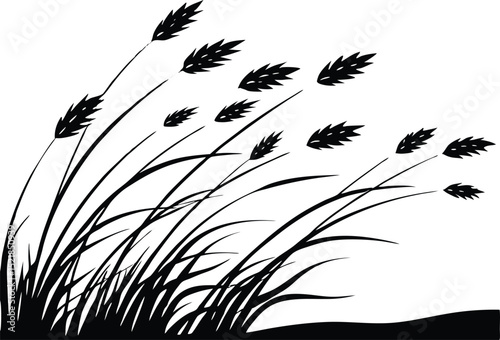 Silhouette of Prairie Grass Moving in Wind, Wind Swept Prairie Field