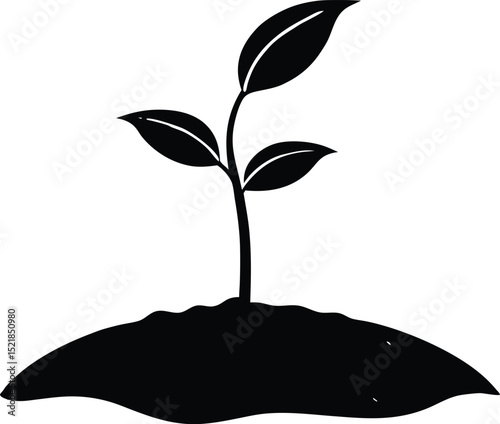 Silhouette of Seedling Sprouting in Soil, New Plant Growing from Earth