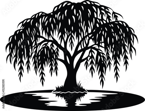 Silhouette of Weeping Willow Over Pond, Willow Tree Hanging Over Still Water