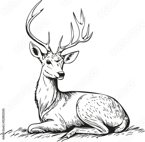 Hand-Drawn Deer Sketch Illustration