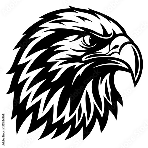 eagle head isolated on white