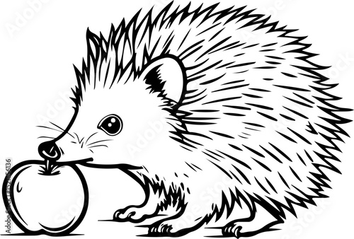 animal, sketch, mammal, cat, pet, nature, wildlife, vector, dog, fur, cute, drawing, hand drawn, illustration, shaggy, isolated on white, wild, tail, black, head, kitten, domestic animal, isolated, wh