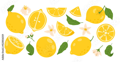 Lemon. Yellow citrus fruit. Cartoon whole lemons, sliced halves, lemon pieces and wedges, green leaves, flowers. Fresh juicy plant food for lemonade, vitamin C, juice. Vector set