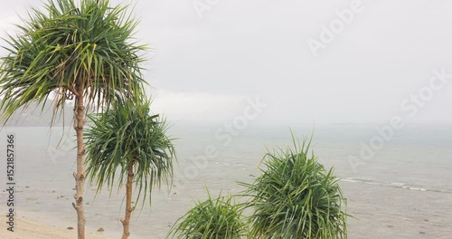 view from balcony from luxury villa to palm trees on the beach in heavy rain, nobody