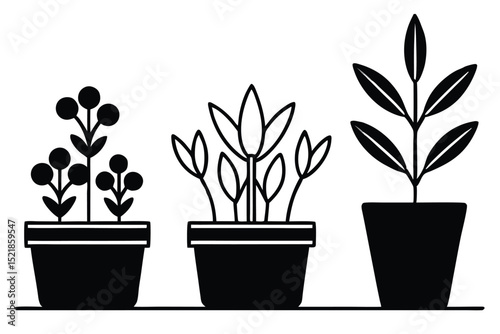 Silhouette pictogram icons of various plants in pots showcasing unique designs and growth stages .