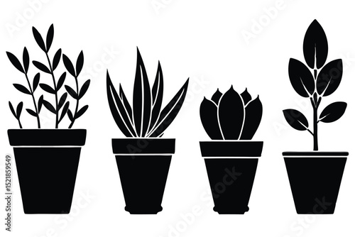 Silhouette pictogram icons of various plants in pots showcasing unique designs and growth stages .
