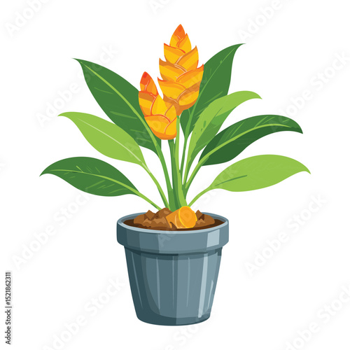 Elegant Orange Flowering Plant in Pot