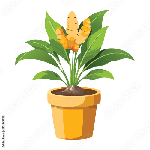 Decorative Orange Blossom Potted Plant