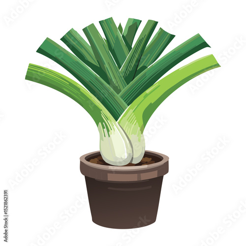 Healthy Leek Plant in Brown Pot