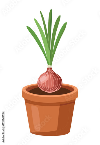 Fresh Red Onion Plant in Brown Pot