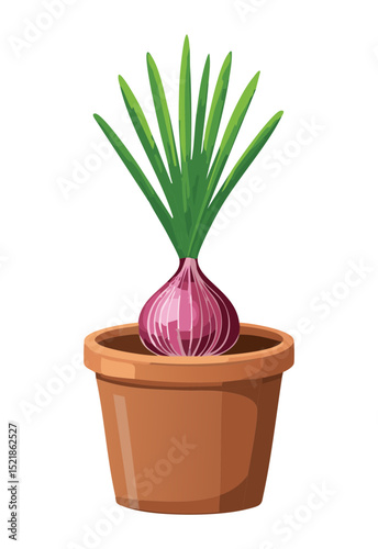 Vibrant Red Onion Plant in Pot