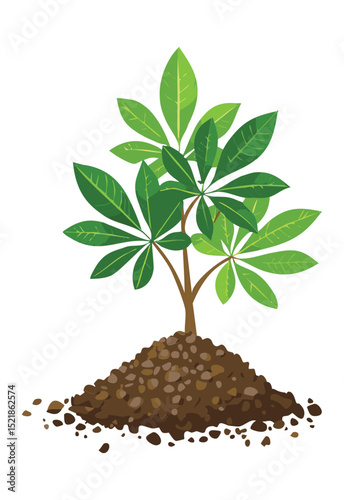 Small Plant in Soil Mound Illustration
