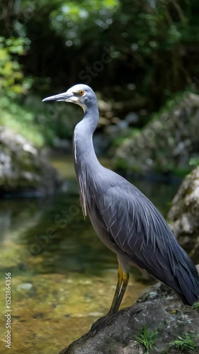 Majestic gray heron standing gracefully by a peaceful stream, surrounded by lush greenery in a serene outdoor environment.