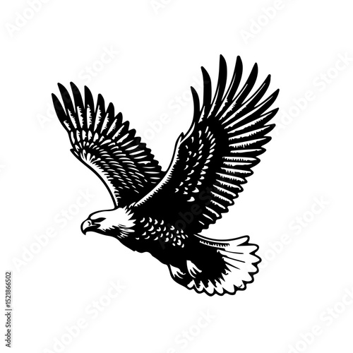 bird, eagle, vector, silhouette, animal, illustration, flying, tattoo, wing, wings, black, fly, nature, feather, falcon, wildlife, hawk, birds, flight, dove, freedom, design, beak, peace, symbol